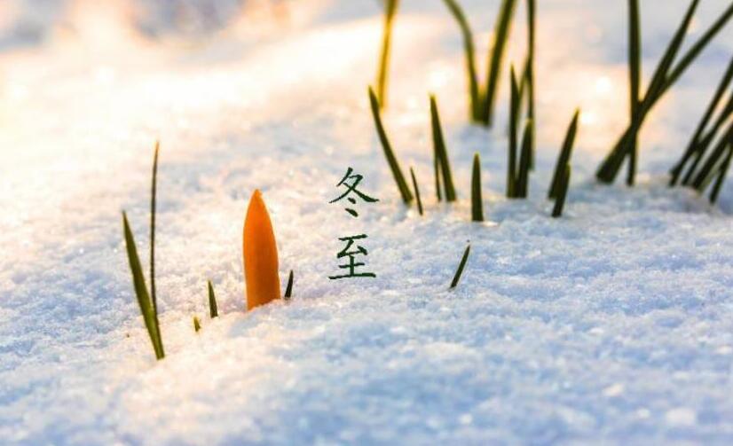 今日冬至|向陽而生，美好如期